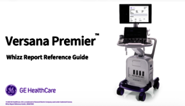 Versana Premier - Whizz Report Reference Guide