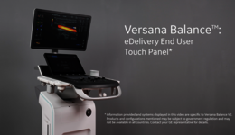 eDelivery End User