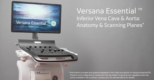 Inferior Vena Cava & Aorta: Anatomy & Scanning Planes